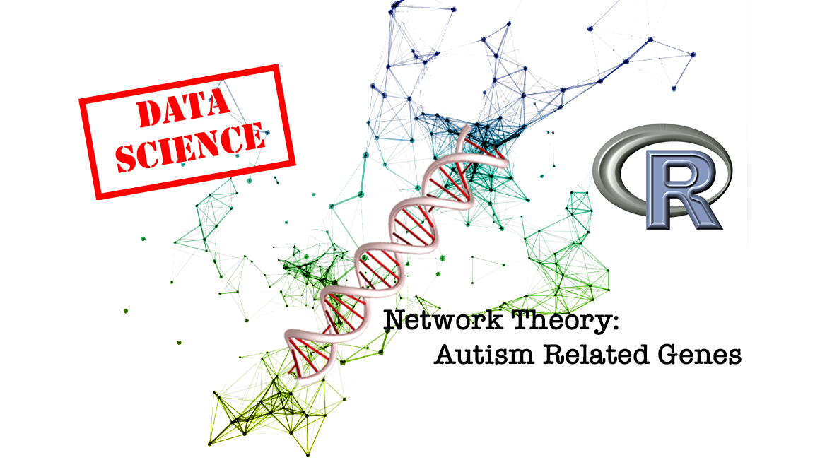 Network Theory and Autism